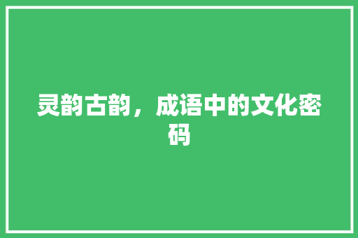 灵韵古韵，成语中的文化密码 个人简历