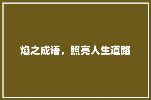 焰之成语，照亮人生道路