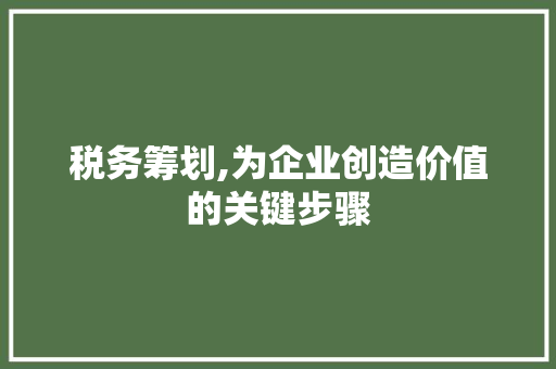 税务筹划,为企业创造价值的关键步骤 个人简历