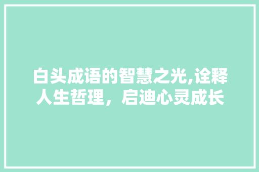 白头成语的智慧之光,诠释人生哲理，启迪心灵成长 演讲稿