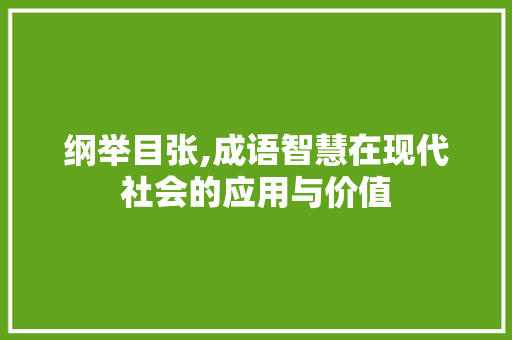 纲举目张,成语智慧在现代社会的应用与价值