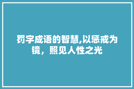 罚字成语的智慧,以惩戒为镜，照见人性之光