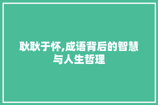 耿耿于怀,成语背后的智慧与人生哲理 合同范本