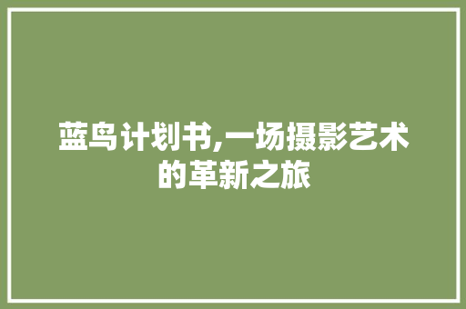 蓝鸟计划书,一场摄影艺术的革新之旅
