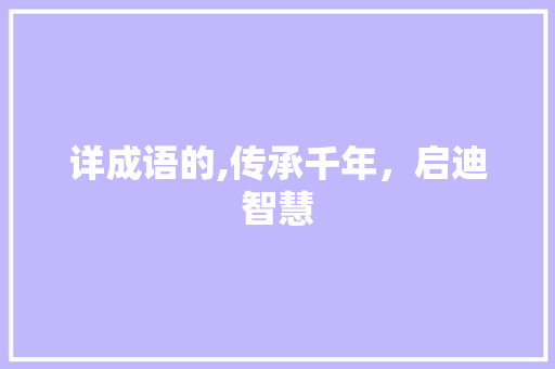 详成语的,传承千年，启迪智慧