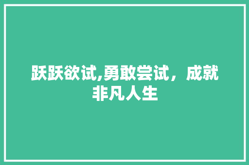 跃跃欲试,勇敢尝试，成就非凡人生 个人简历