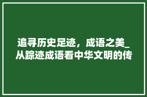 追寻历史足迹，成语之美_从踪迹成语看中华文明的传承与发展 国学经典