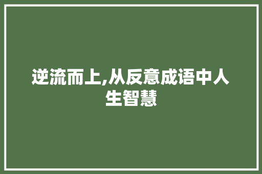 逆流而上,从反意成语中人生智慧