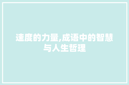 速度的力量,成语中的智慧与人生哲理