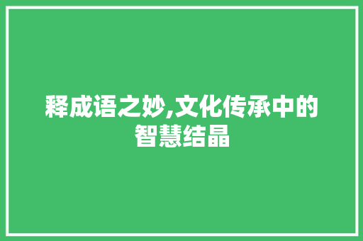 释成语之妙,文化传承中的智慧结晶