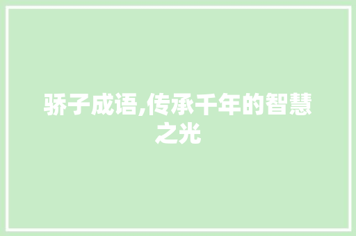 骄子成语,传承千年的智慧之光 工作计划