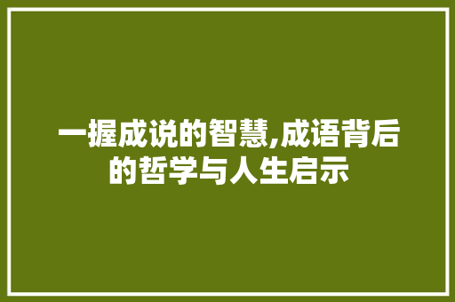一握成说的智慧,成语背后的哲学与人生启示