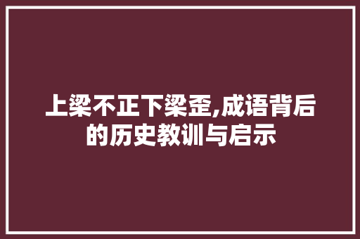 上梁不正下梁歪,成语背后的历史教训与启示
