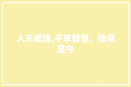 人天成语,千年智慧，传承至今 成语大全