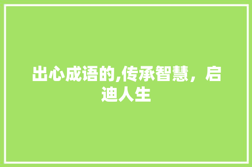 出心成语的,传承智慧，启迪人生