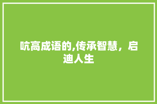 吭高成语的,传承智慧，启迪人生 工作计划