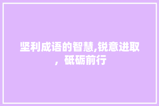 坚利成语的智慧,锐意进取，砥砺前行