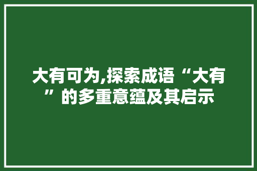 大有可为,探索成语“大有”的多重意蕴及其启示