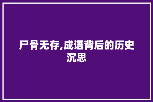 尸骨无存,成语背后的历史沉思 工作计划