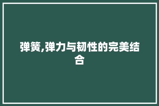 弹簧,弹力与韧性的完美结合