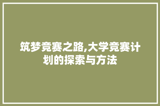 筑梦竞赛之路,大学竞赛计划的探索与方法