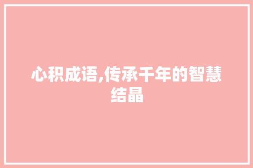 心积成语,传承千年的智慧结晶