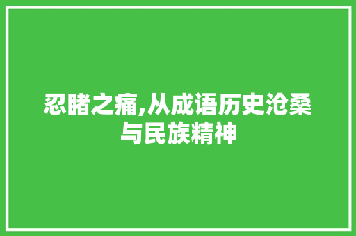 忍睹之痛,从成语历史沧桑与民族精神