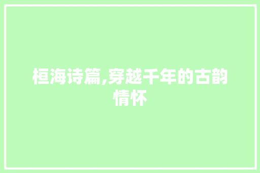 桓海诗篇,穿越千年的古韵情怀