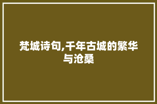 梵城诗句,千年古城的繁华与沧桑