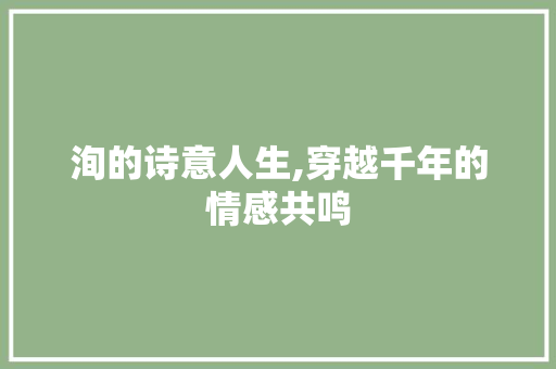 洵的诗意人生,穿越千年的情感共鸣