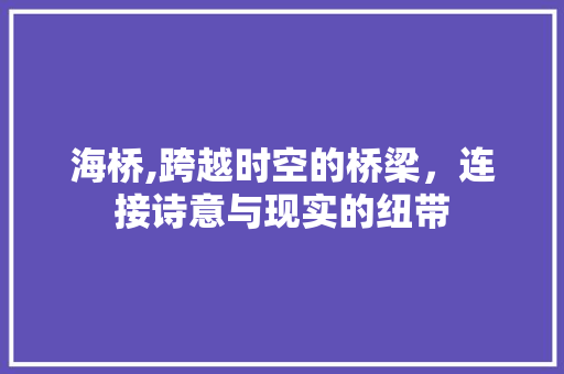 海桥,跨越时空的桥梁，连接诗意与现实的纽带