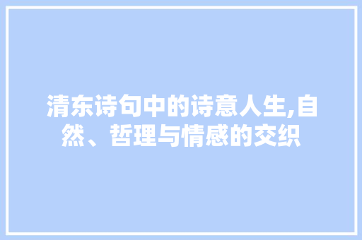 清东诗句中的诗意人生,自然、哲理与情感的交织 个人简历