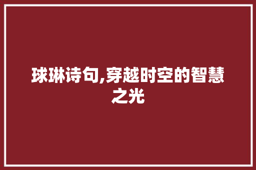 球琳诗句,穿越时空的智慧之光