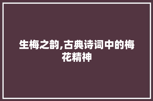 生梅之韵,古典诗词中的梅花精神