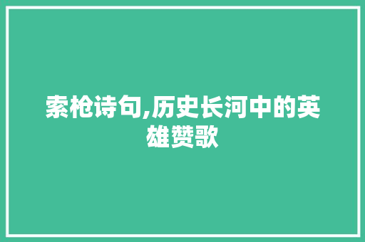 索枪诗句,历史长河中的英雄赞歌