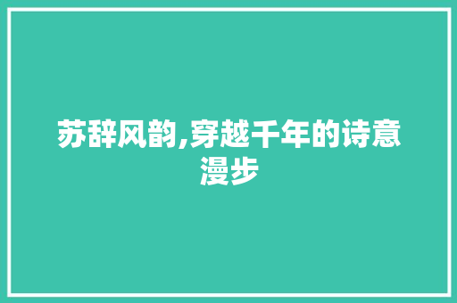 苏辞风韵,穿越千年的诗意漫步