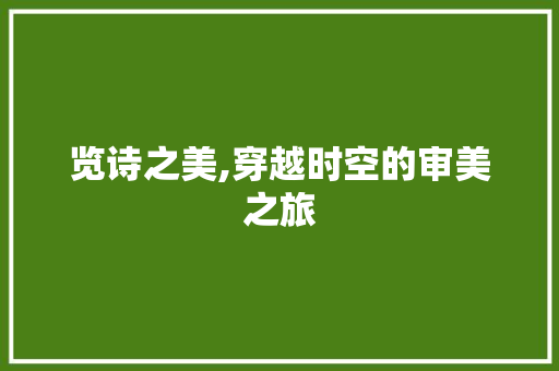 览诗之美,穿越时空的审美之旅