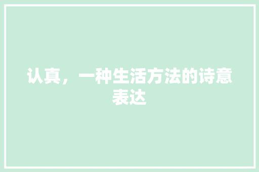 认真，一种生活方法的诗意表达
