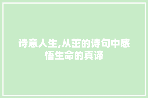 诗意人生,从茁的诗句中感悟生命的真谛