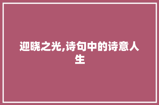迎晓之光,诗句中的诗意人生