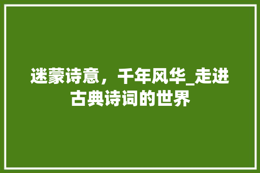 迷蒙诗意，千年风华_走进古典诗词的世界