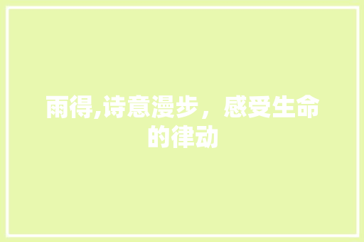 雨得,诗意漫步，感受生命的律动