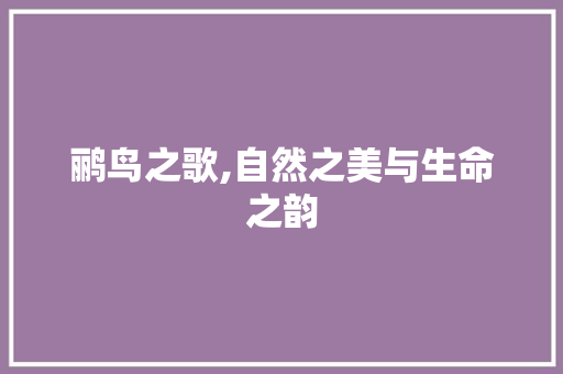 鹂鸟之歌,自然之美与生命之韵