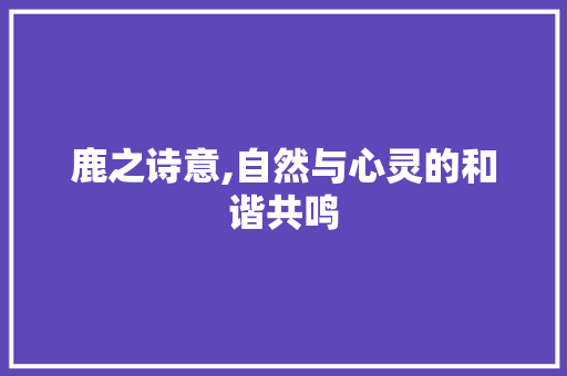 鹿之诗意,自然与心灵的和谐共鸣