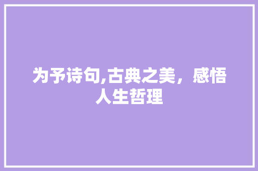 为予诗句,古典之美，感悟人生哲理