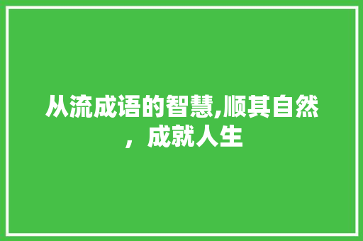 从流成语的智慧,顺其自然，成就人生