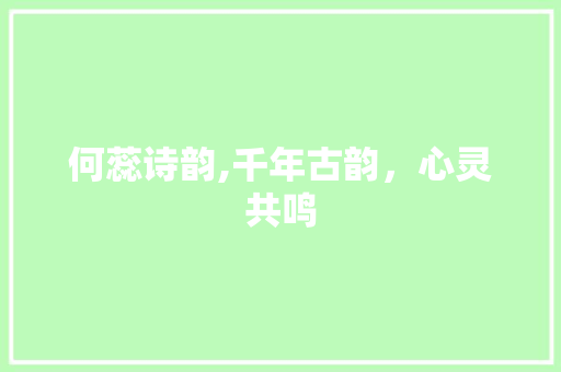 何蕊诗韵,千年古韵，心灵共鸣
