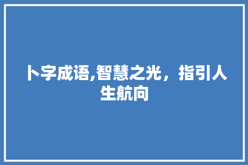 卜字成语,智慧之光，指引人生航向 名人名言