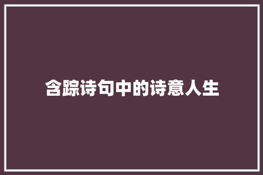 含踪诗句中的诗意人生