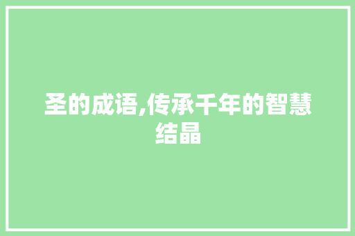 圣的成语,传承千年的智慧结晶